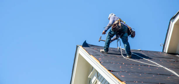Roof Gutter Cleaning in Dillon, SC